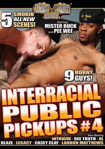 Poster of Interracial Public Pickups 4