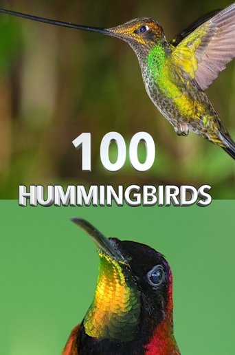 100 Hummingbirds Poster of 100 Hummingbirds