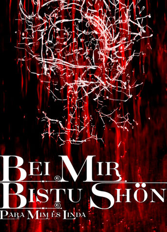 Poster of BEI MIR BISTU SHON: PARA MIM ES LINDA