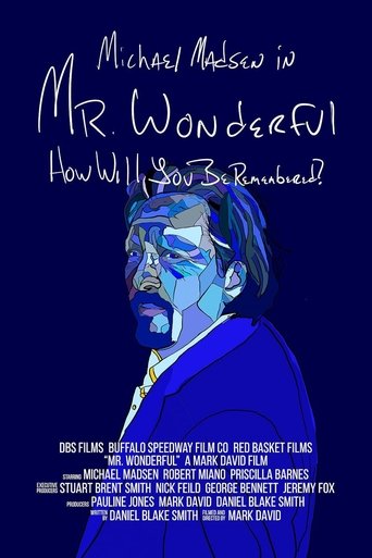 Poster of Mr. Wonderful