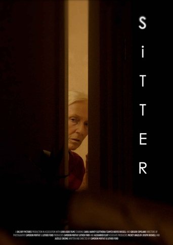 Poster of Sitter