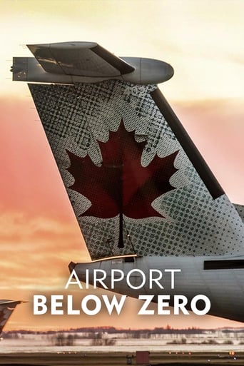 Poster of Airport: Below Zero