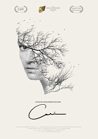 Poster of Cari