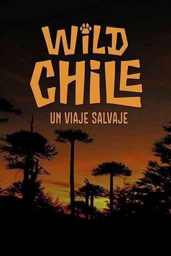 Poster of Chile: A Wild Journey - The Special