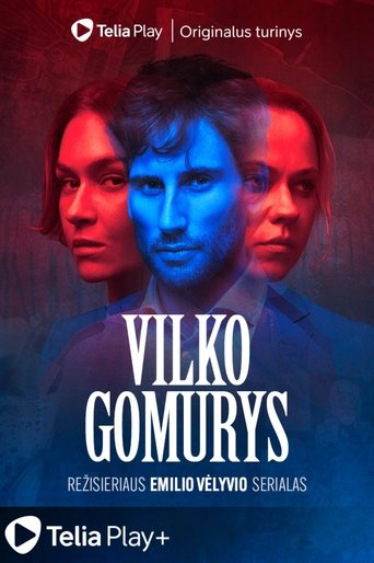 Poster of Vilko gomurys