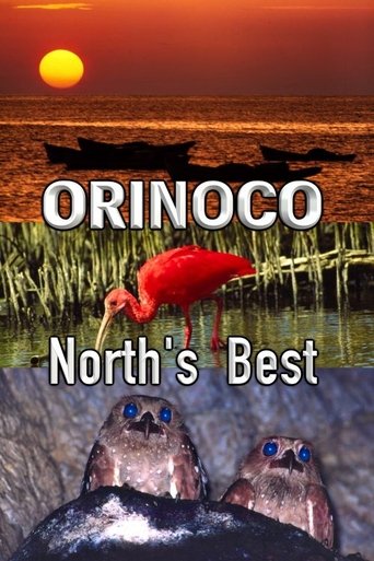 Poster of Orinoco, North’s Best