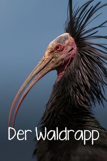 Poster of Der Waldrapp: Zugvogel im Aufwind