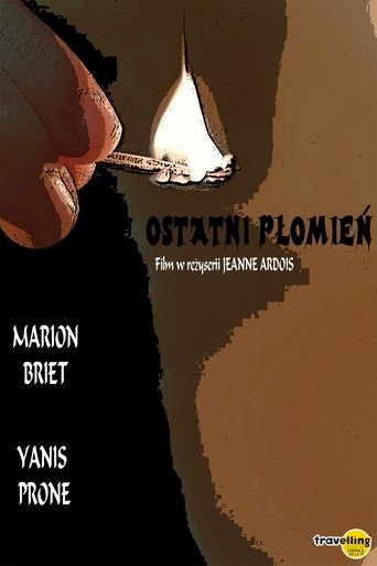 Poster of Last Spark