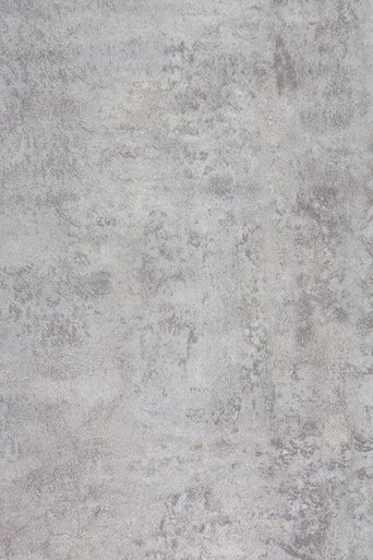 Poster of A new winter