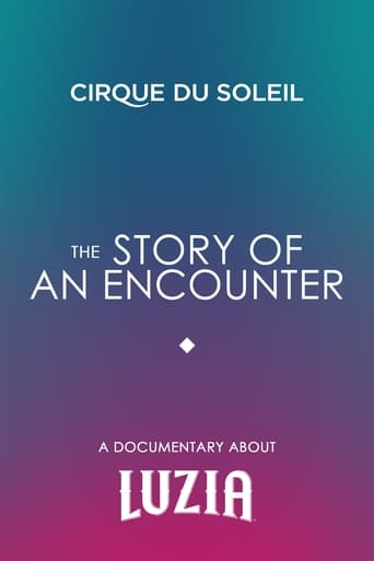 Poster of The Story Of An Encounter