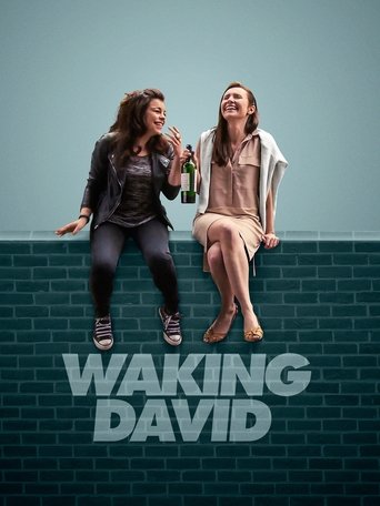 Poster of Waking David
