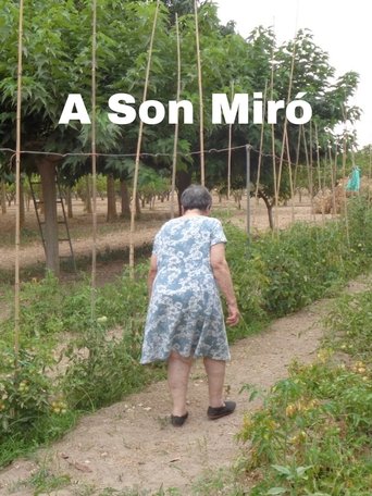 Poster of A Son Miró