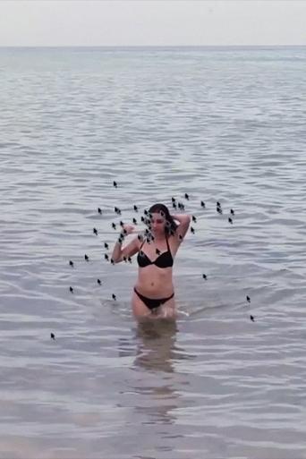 Poster of Hot Beach Babe Aims to Please