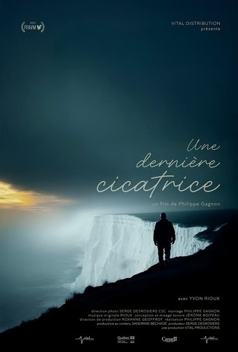 Poster of The Last Scar