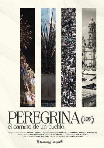 Poster of Pilgrim A people's journey