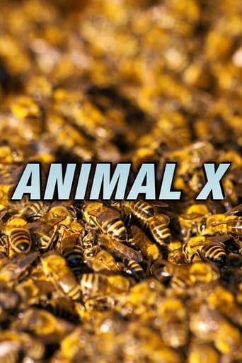 Poster of Animal X