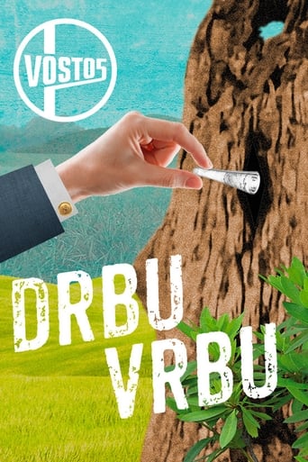 Poster of Drbu vrbu