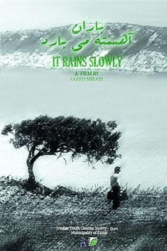 Poster of It Rains Slowly