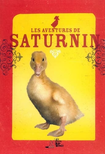 Poster of Les Aventures de Saturnin