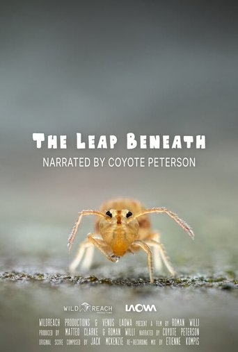 Poster of The Leap Beneath