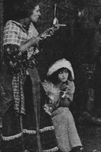 Poster of The Female Detective