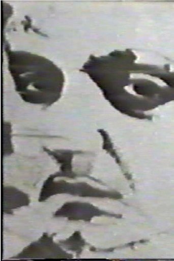 Goffredo Poster of Goffredo