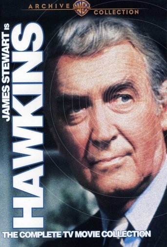 Portrait for Hawkins - Season 1
