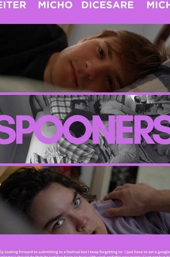 Poster of Spooners