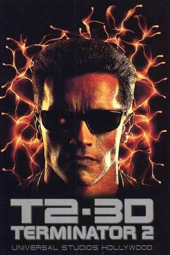 Poster of T2 3-D: Battle Across Time