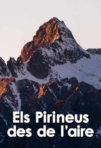 Poster of Els Pirineus des de l'aire