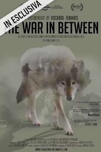 Poster of The War In Between