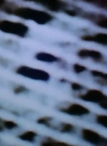 Poster of The Space in Between (Airport Architecture)