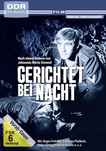 Poster of Gerichtet bei Nacht