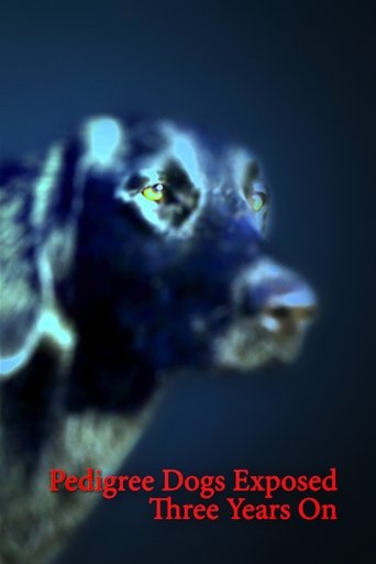 Poster of Pedigree Dogs Exposed: Three Years On