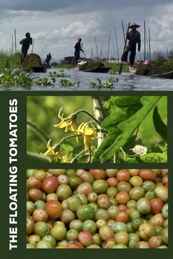 Poster of The Floating Tomatoes