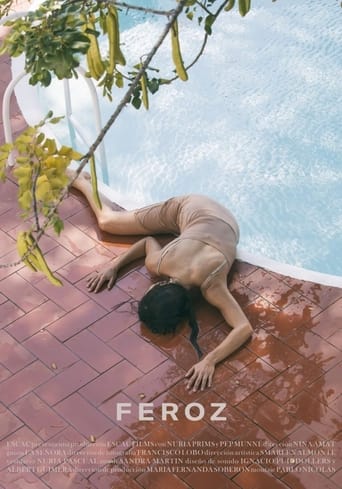 Poster of Feroz