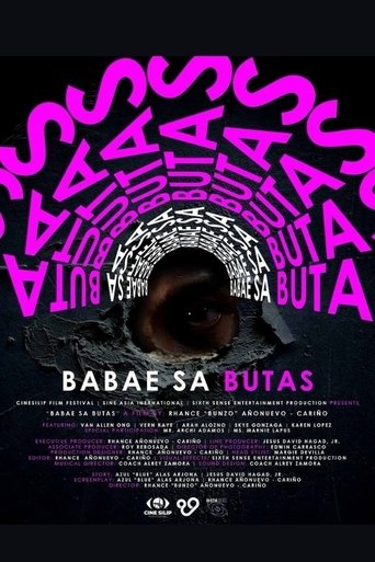 Poster of The Woman In The Hole