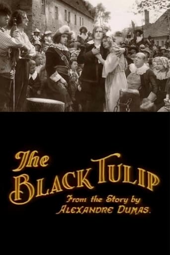 Poster of The Black Tulip