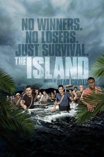 Poster of The Island