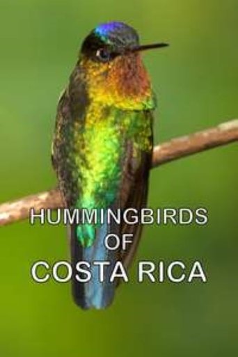 Poster of Hummingbirds of Costa Rica