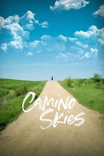 Poster of Camino Skies