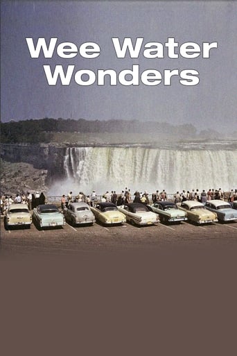 Poster of Wee Water Wonders