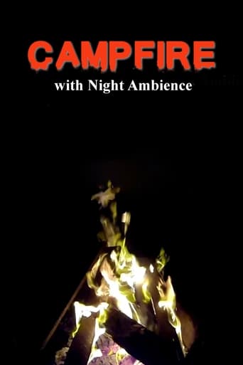 Poster of Campfire with Night Ambience