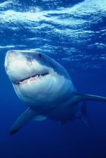 Poster of Great White Shark