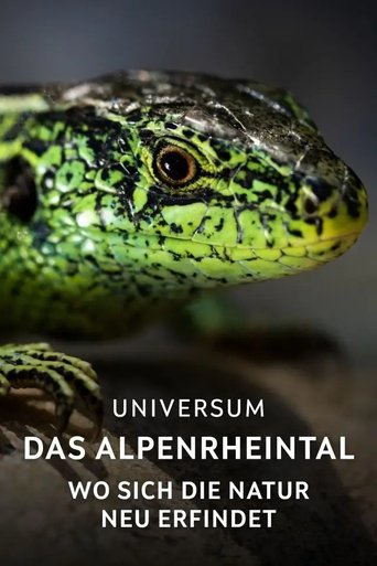 Poster of Das Alpenrheintal – Wo sich die Natur neu erfindet