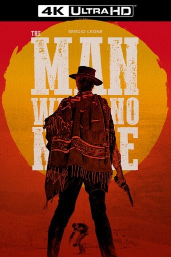 Poster of The Man with No Name