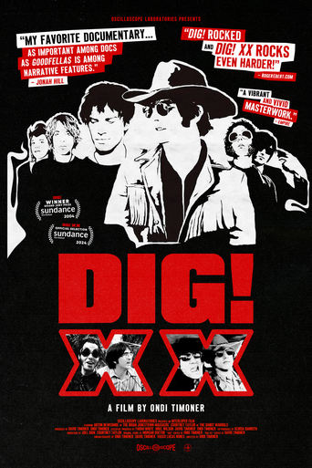 Poster of DIG! XX