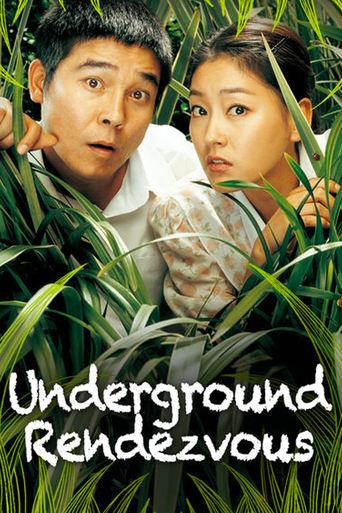 Poster of Underground Rendezvous