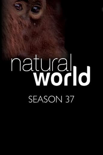 Portrait for Natural World - Season 37