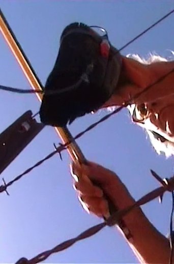 Poster of Two Desert Performances